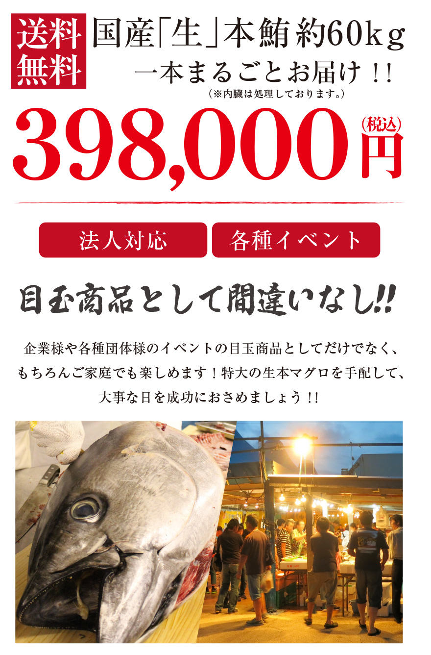 国産本鮪 伊達マグロ 丸ごと1本 60kg マグロの吉井