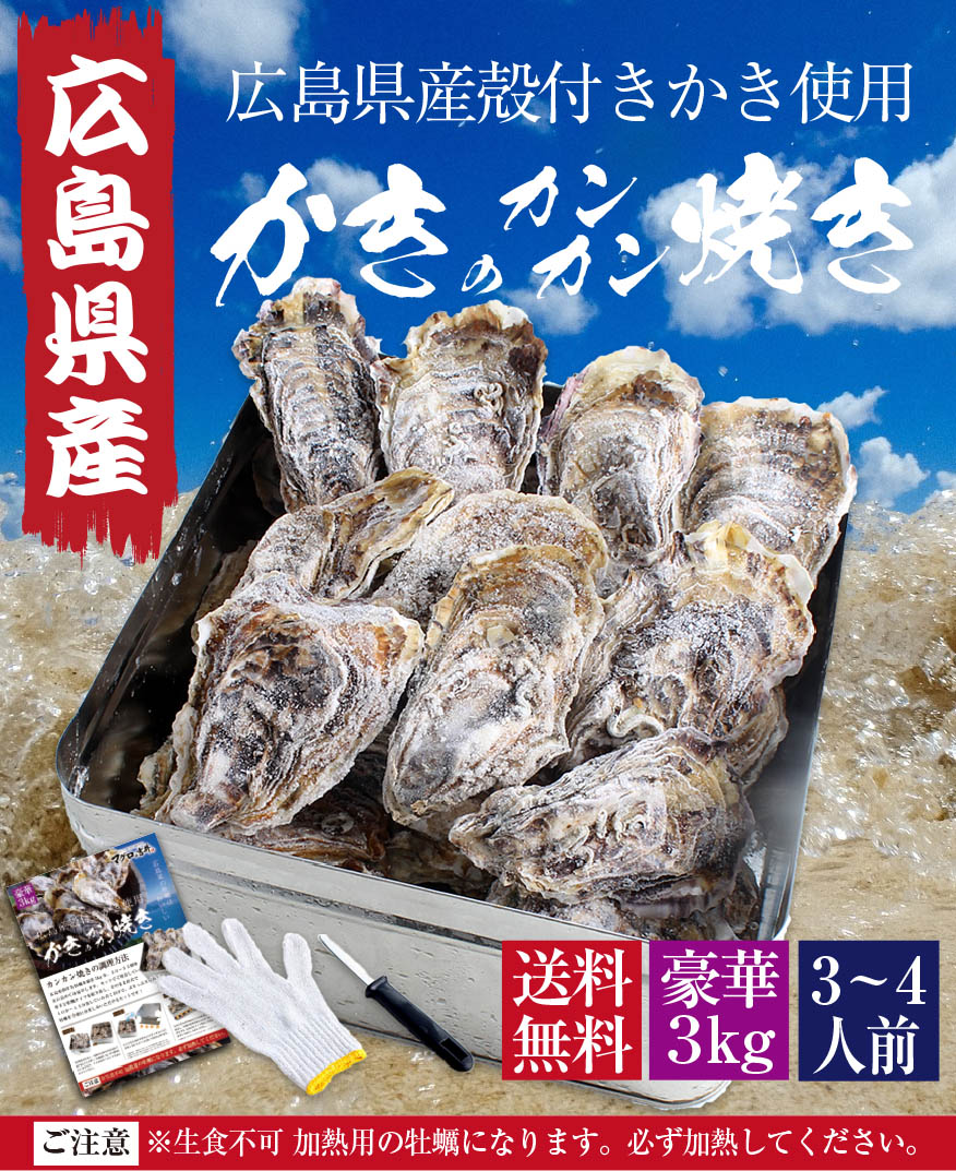 冷凍 牡蠣 かんかん焼き 広島県産 3kg 100g以上 26個前後 3～4人前 バーベキュー BBQ | マグロの吉井