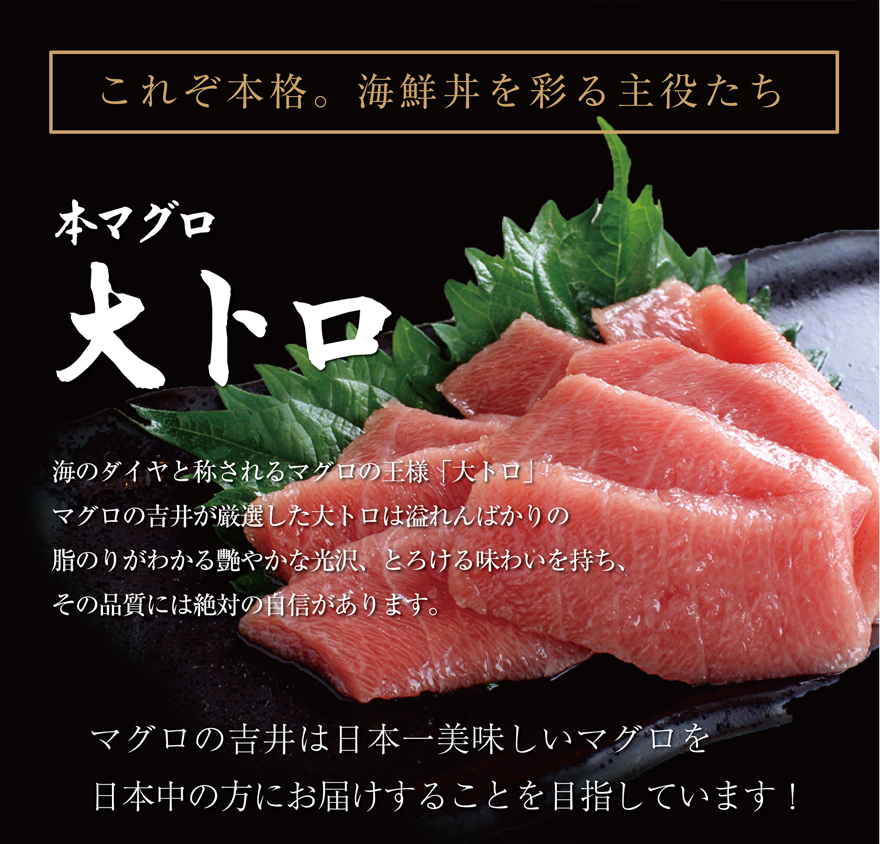 吉井の海鮮丼 マグロの吉井