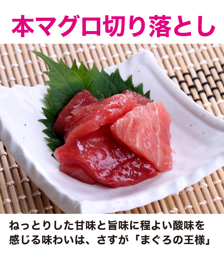 1620円 【SALE／79%OFF】 漁師のまぐろ丼 10パックセット 鮪 マグロ まぐろ 送料無料