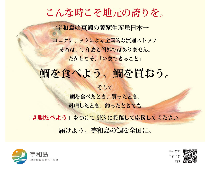 愛媛県産鯛